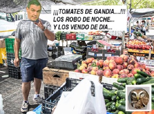 ¡VAMOS…QUE NOS VAMOS!