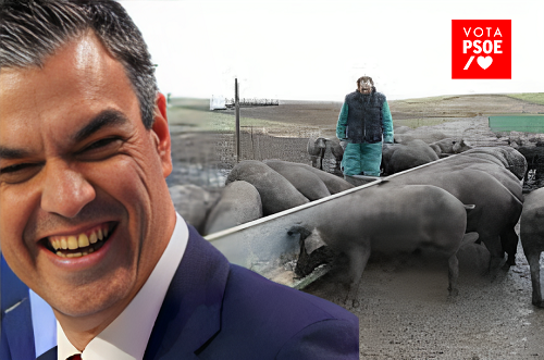 LA IZQUIERDA VOTA POR EL «PARAISO» DE SÁNCHEZ.
