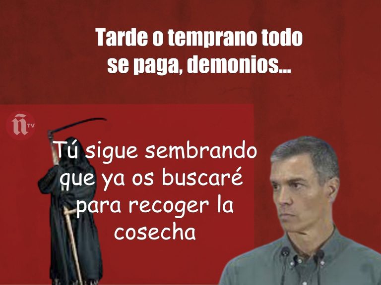 ESTA CATERVA DE INÚTILES Y MALEANTES NUNCA ES RESPONSABLE DE NADA.
