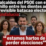 HARTOS DE PERDER ELECCIONES